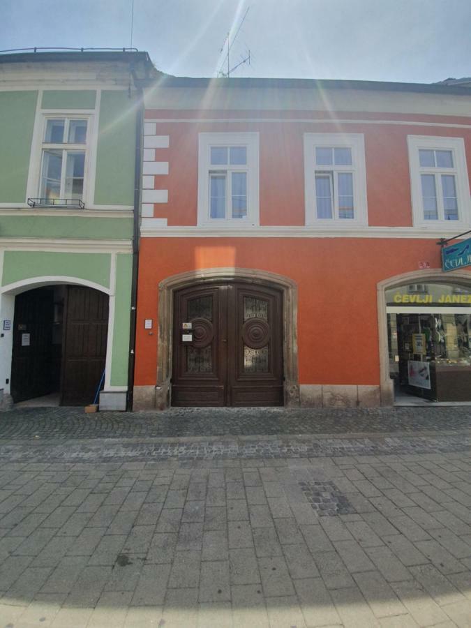 Luxory Apartment The Soul Of City Maribor Kültér fotó